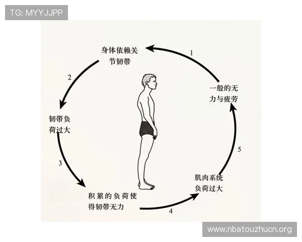 球友体育app与其他运动类应用的区别与优势深入比较助你选择最适合自己的运动伴侣